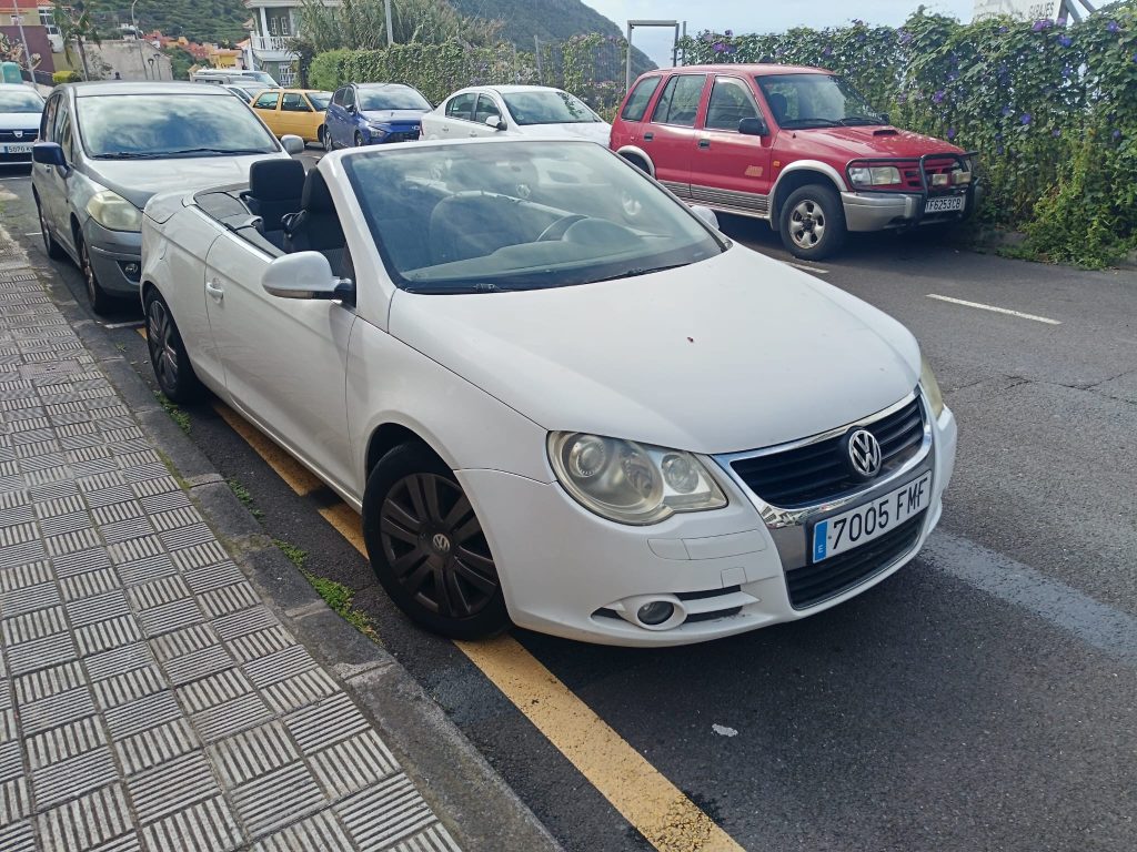 WhatsApp Image 2026 03 19 at 18.06.13